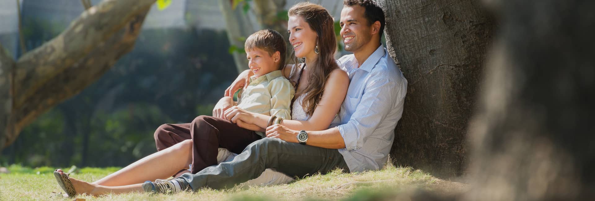 Tranquilidad con ZEWS