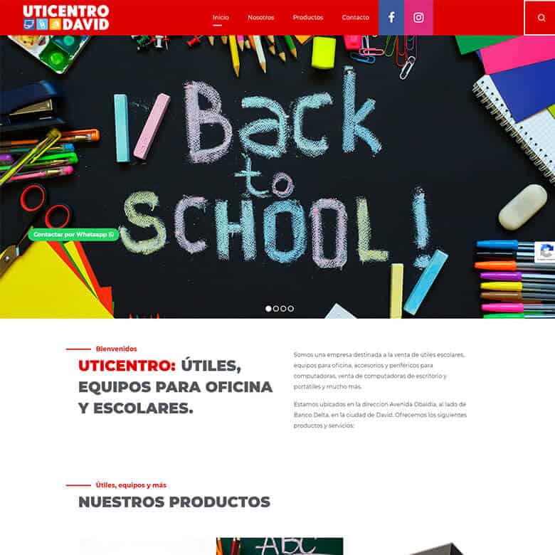 Website design for companies in David, Chiriquí, Panama
