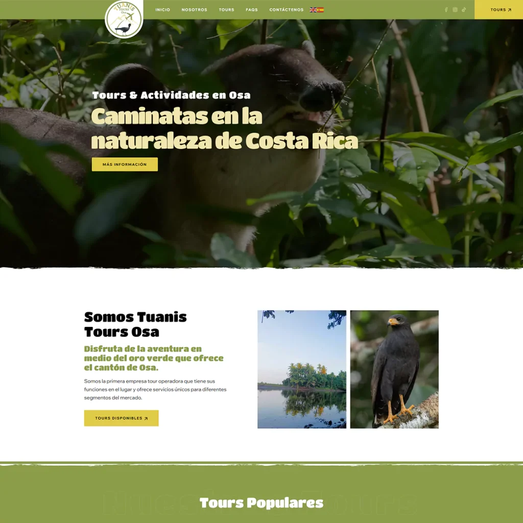 Agencia de marketing digital para para operadores turísticos en Piedras Blancas